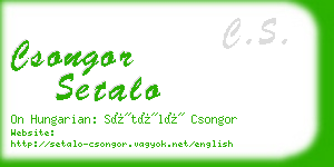 csongor setalo business card